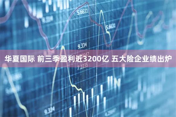 华夏国际 前三季盈利近3200亿 五大险企业绩出炉