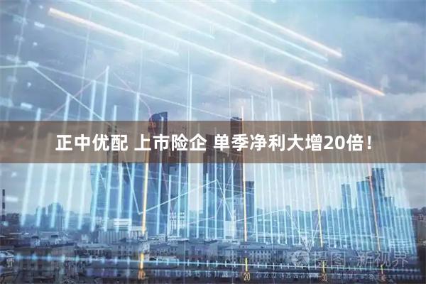 正中优配 上市险企 单季净利大增20倍！