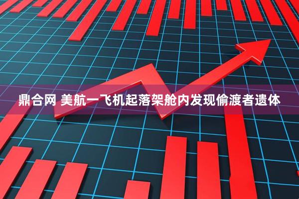 鼎合网 美航一飞机起落架舱内发现偷渡者遗体