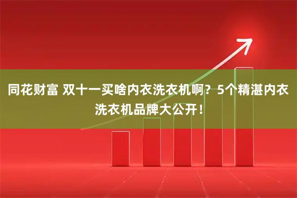 同花财富 双十一买啥内衣洗衣机啊？5个精湛内衣洗衣机品牌大公开！