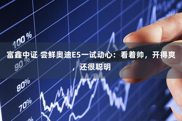 富鑫中证 尝鲜奥迪E5一试动心：看着帅，开得爽，还很聪明