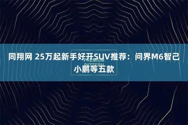 同翔网 25万起新手好开SUV推荐：问界M6智己小鹏等五款